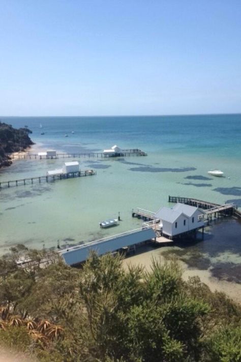 Sorrento Australia, Sorrento Victoria, Shell Paintings, Sea Scapes, Mornington Peninsula, Scallop Shell, Victoria Australia, Crystal Clear Water, Interesting Stuff