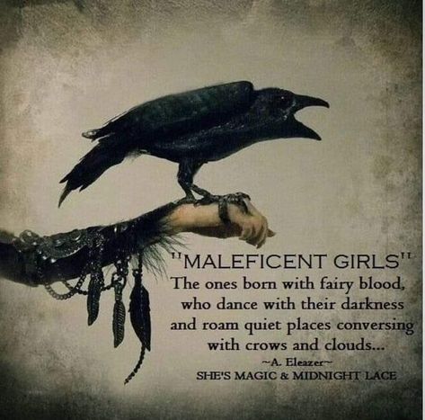 Summer Witch (@LadyLeo1976) / Twitter Maleficent Raven Tattoo, Oppenheimer Profile Picture, Don't Mess With A Witch, Nocturnal Witchcraft, Crow Poetry, Maleficent Quotes, Gothic Quotes, Witches Book, Witch Quotes