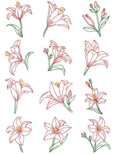 Tiger Lily Embroidery Pattern, Stargazer Lily Embroidery, White Lily Embroidery, Fire Lily Drawing, Tiger Lily Embroidery, Embroidery Lily Flower, Lily Embroidery Pattern, If He Dresses The Lilies, Lilly Embroidery