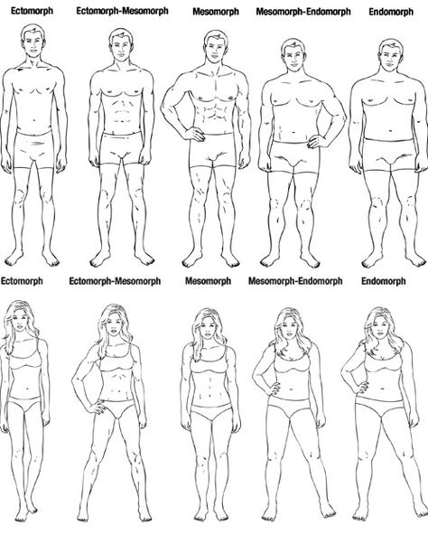 Body Types Drawing Reference, Man Anatomy Drawing, Body Types Drawing, Anatomy Drawing Reference, Body Type Drawing, Man Anatomy, Body Shape Drawing, Older Man, Z Arts