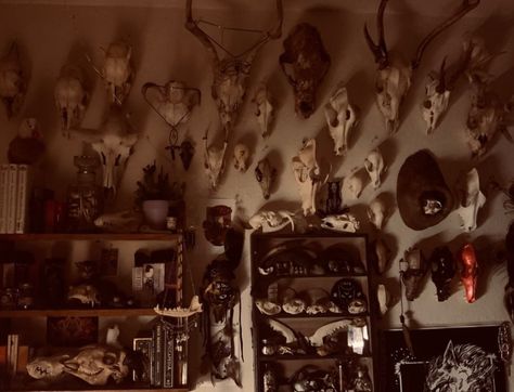 Vulture Culture Aesthetic, Bone Collecting, Forest Wizard, The Bone Collector, Father Ted, Hunting Room, Vulture Culture, Animal Bones, Corn Flakes