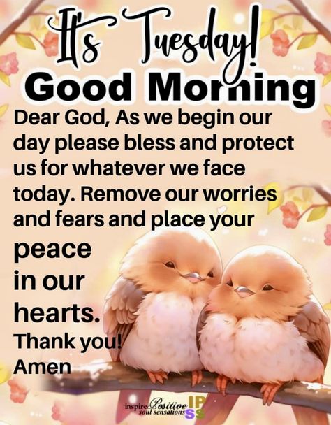 Daily Bible Devotions, Good Morning Tuesday Images, Happy Tuesday Morning, Tuesday Quotes Good Morning, Tuesday Blessings, Sunday Morning Quotes, Week Quotes, Happy Tuesday Quotes, Good Morning Tuesday