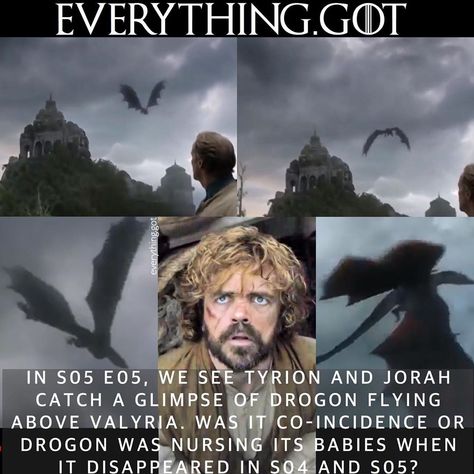 Game Of Thrones Everything on Instagram: “Did we just confirm the theory that Drogon has more baby dragons?🐉🐉🐉🐉 Comment what’re your thoughts on this below!🙌🏻👇🏻 @everything.got…” Game Of Thrones Theories, Drogon Game Of Thrones, Baby Dragons, Got Memes, Game Of Thrones Houses, House Of Dragons, Baby Dragon, Game Of Thrones, Memes