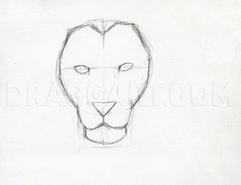 How To Sketch A Lion, Step by Step, Drawing Guide, by finalprodigy | dragoart.com Lion Face Drawing, Easy Pencil Drawings, Easy Sketches, Lion Sketch, How To Sketch, Lion Drawing, Easy Drawings For Beginners, Pencil Drawing Tutorials, Pencil Sketch Drawing