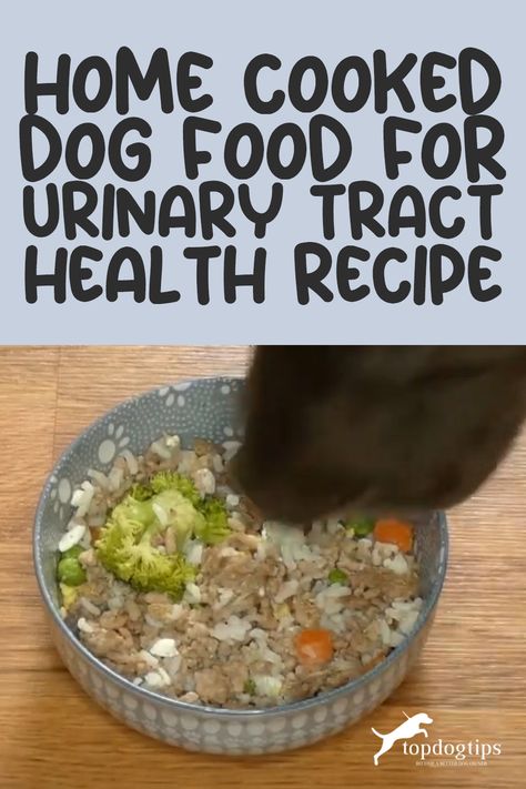 Recipe: Homemade Dog Food for Urinary Tract Health Urinary Diet For Dogs, Homemade Dog Food For Urinary Tract Health, Dog Kidney Diet Recipe, Dog Food Recipes For Kidney Problems, Kidney Friendly Dog Food Recipes, Kidney Diet For Dogs, Oreo Homemade, Homemade Dog Food Vet Approved, Low Protein Dog Food