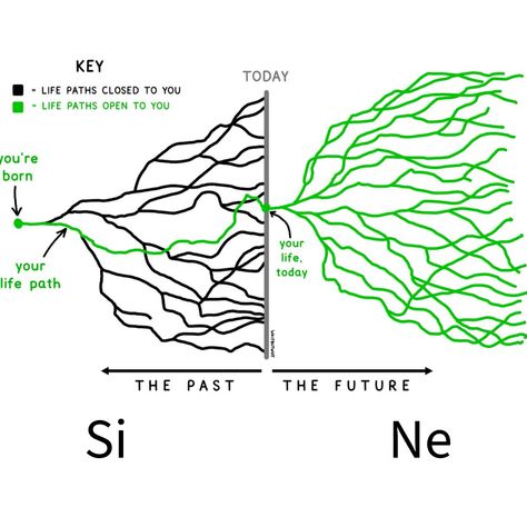 Comparison between Si and Ne cognitive functions  #mbti credits to Tim Urban Intp Cognitive Functions, Infp Cognitive Functions, Ne Function, Mbti Cognitive Functions, Tim Urban, Infp Functions, Cognitive Functions Mbti, Enfp Things, Mbti Enneagram