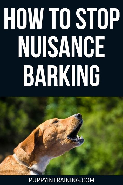 How To Stop Nuisance Barking - orange colored dog with yellow neck barking. Puppy Barking, Stop Dog Barking, Dog Behavior Problems, Dog Training Advice, Dog Brain, Puppy Training Tips, Dog Training Techniques, Best Dog Training, Training Your Puppy