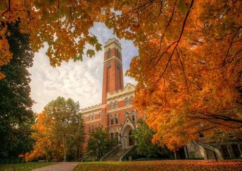 Vanderbilt University, Southern Hospitality, Scholarships For College, College Campus, Unique Venues, University Campus, Education College, College Fun, Music City