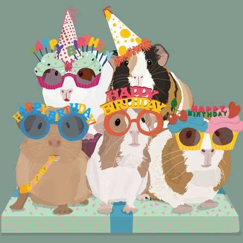 Guinea Pig Illustration, Guinea Pig Birthday, Happy Birthday Illustration, Birthday Card Digital, Happy Birthday Art, Birthday Card Drawing, Birthday Illustration, رعب نفسي, Bday Cards