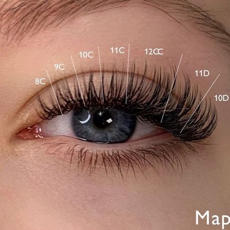 Cat Eye Lash Extensions, Eyelash Extensions Classic, Eye Lash Extensions, Lash Tips, Natural Fake Eyelashes, Lashes Fake Eyelashes, Eyelash Tips, Eyelash Technician, Gene False