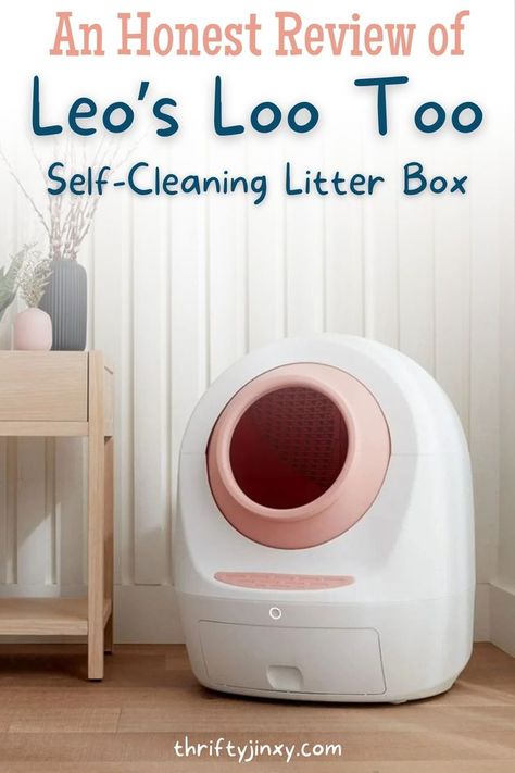 This is my review of Leo’s Loo Too: Self-Cleaning Litter Box. I have had cats for decades now and one thing that I’ve learned is that a good litter box matters. There are lots of litter box options out there and a self-cleaning litter box makes life easier. However, not all self-cleaning litter boxes are created equal. Hidden Cat Litter Box Ideas, Box Room Ideas, Cat Litter Box Ideas Hidden, Hidden Laundry Rooms, Cat Litter Box Ideas, Litter Box Ideas, Ikea Cat, Hiding Cat Litter Box, Best Litter Box