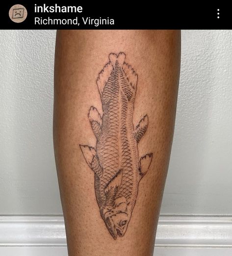 Coelacanth Tattoo, Illustrative Tattoo, Tattoo Drawing Ideas, Mark My Words, Tattoo Placements, Meaningful Art, Creature Concept Art, Dope Tattoos, Tattoo Placement