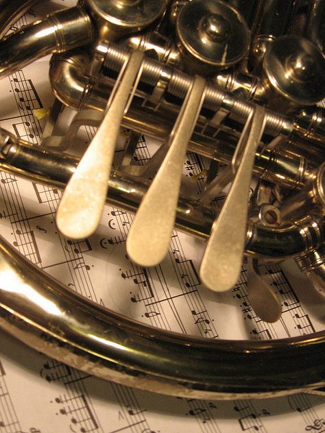 french horn Horn Instruments, French Horns, Brass Music, Music Corner, Brass Instrument, Brass Instruments, Band Nerd, Band Geek, Band Kid