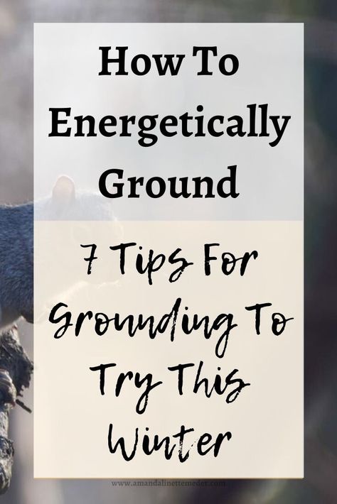 How To Energetically Ground, 7 Tips For Grounding To Try This Winter. Photo of Squirrel by NatureArchaeologist with text overlay. Grounding Sheets Products, Grounding In The Winter, Ways To Ground Yourself, How To Ground Yourself Spiritually, Grounding Benefits, Grounding Sheets, Witchy Business, Spiritual Tips, Nature Therapy