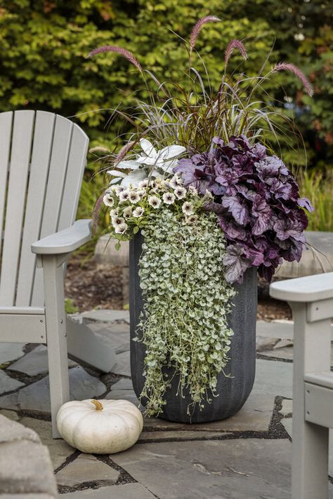 Fall Flower Pots, Fall Pots, Summer Planter, Fall Container Gardens, Fall Containers, Container Garden Design, Fountain Grass, Potted Plants Outdoor, Grasses Landscaping