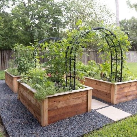 Raised Garden Beds Planting Ideas, Acreage Yard Ideas, Garden Organization Ideas Vegetables, Raised Garden Bed Area, Raised Garden Bed Inspiration, Small Yard Raised Garden Beds, Raise Garden Bed Layout, Large Garden Bed Ideas, Backyard Vegetable Garden Design Layout Raised Beds