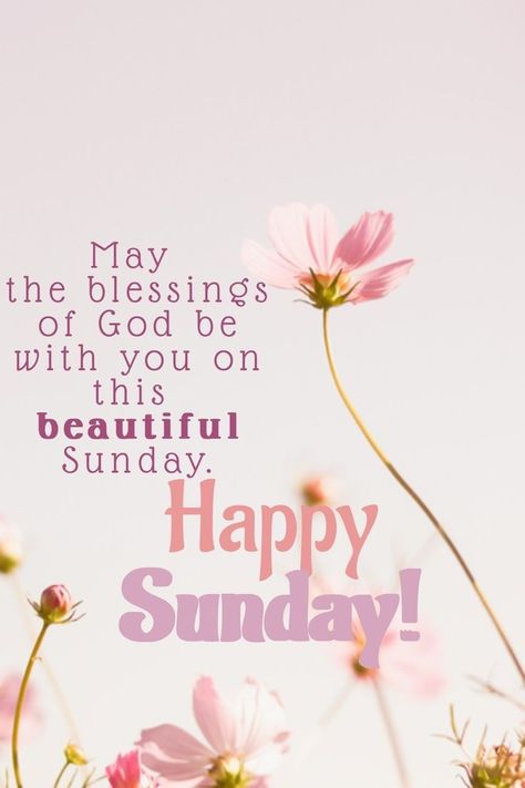 Happy Sunday And New Week, Sunday Blessings Inspiration Faith, Sunday Greetings Good Morning, Sunday Blessings Inspiration Scriptures, Happy Sunday Wishes, Good Morning Sunday Wishes, Sunday Blessings Inspiration, Sunday Good Morning Wishes, Happy Blessed Sunday