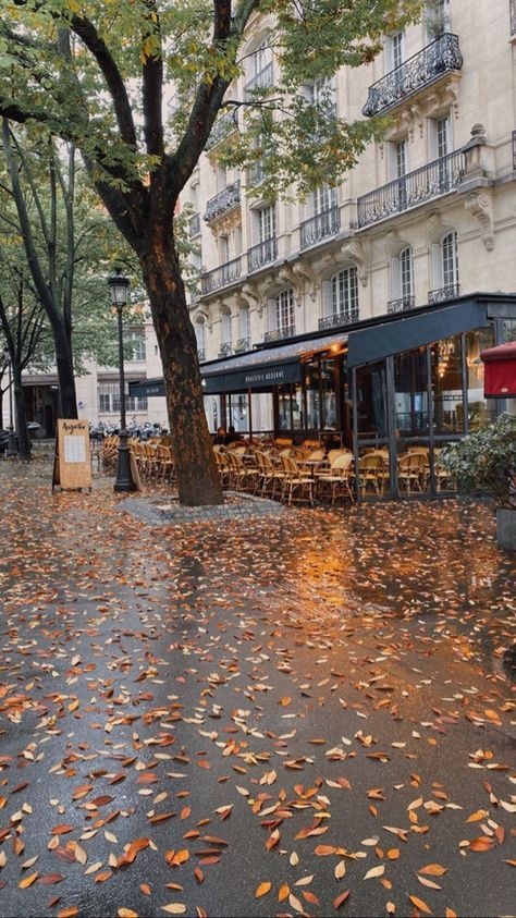 Fall Paris Aesthetic, Paris Fall Aesthetic, Paris Autumn Aesthetic, Simplicity In Life, Paris In October, Paris Autumn, Paris In The Fall, Paris In Autumn, Mansion Exterior