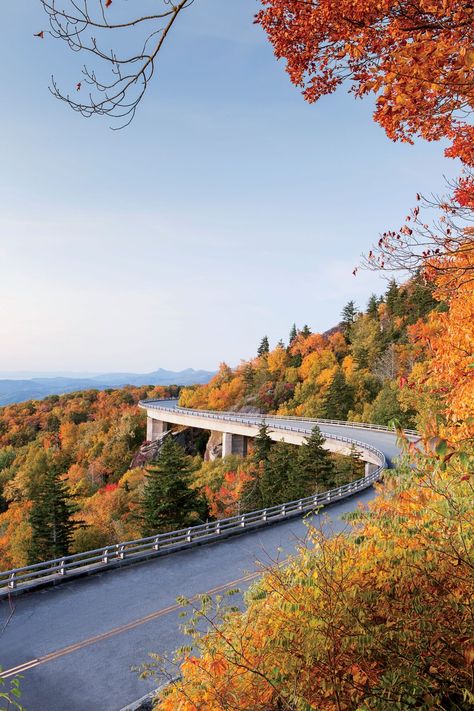 Fall Foliage Road Trips, Carolina Do Norte, Fall Road Trip, Maputo, Shenandoah National Park, Appalachian Mountains, Mountain Life, Blue Ridge Parkway, Mountain Town