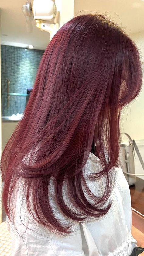 Best Hair Colour For Brown Hair, Wine Cherry Red Hair, Cute Hair Colours For Brown Hair, Red Hair Colours Ideas, Hair Colour Red Wine, Cherry Wine Hair Color Balayage, Red Auburn Hair Color Burgundy, Hair Colour Fair Skin, Winter Pallet Hair Color