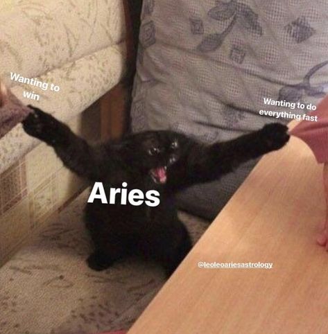 Aries Lockscreen, Aries Aura, Aries Mood, Aries Funny, Arte Aries, Aries Aesthetic, Aries Baby, Aries And Scorpio, Aries Traits