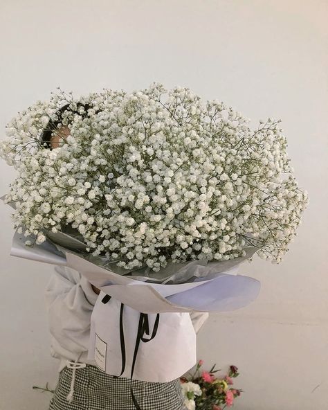 Gypsophila #bouquet Gypsophila Bouquet, Holding A Bouquet, Luxury Flowers, White Bouquet, Flowers, White