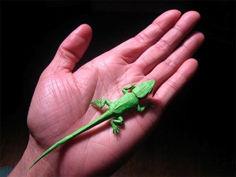 Brian Chan spent most of his childhood folding complex designs with paper. Origami appeals to him because it incorporates a lot of geometry, which is his favorite sector of mathematics. Most of his work feature bugs, and maybe a robot. Origami Lizard, Small Origami, Origami