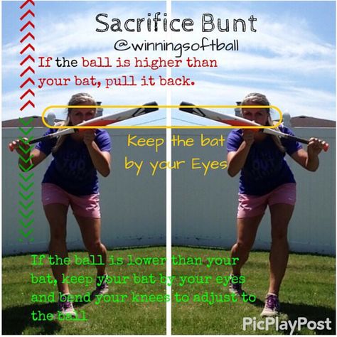 Softball Tee Drills, Catcher Drills, Softball Catcher Drills, Fastpitch Softball Drills, Youth Baseball Drills, Softball Tips, Baseball Manager, Softball Hitting, Softball Batting