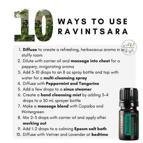 doTERRA Essential Oils Blend Youthful Lifestyle 10 ways to use Mental and Emotional Wellness Natural Health Ravintsara massage into chest sinus steamer Ravintsara Essential Oil, Essential Oils Properties, Esential Oils, Doterra Oil, Cleansing Spray, Aromatherapy Recipes, Healing Essential Oils, Sprayer Bottle, Happier Life