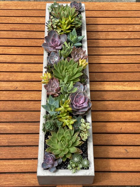 Long Succulent Centerpiece, Rectangle Succulent Arrangements, Long Narrow Centerpiece Ideas, Succulent Arrangements Indoor Table, Outdoor Table Centerpieces Patio, Flowers Planting Ideas, Succulent Arrangements Outdoor, Planting Design Plan, House Plants Aesthetic