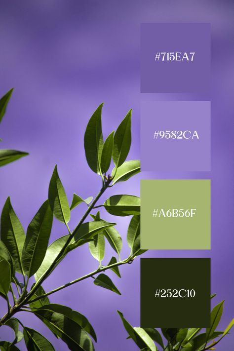 Green leaves set against a soft purple sky, creating a serene and calming visual. The contrast of the fresh green against the gentle purple background highlights the beauty of Purple and Green colors. Colour Palette Purple Green, Hex Color Palette Purple, Dark Green Contrast Color Combinations, Purple And Green Colour Palette, Purple Color Palette Combination, Color Palette Purple Colour Combinations, Purple Green Color Scheme, Color Contrast Combination, Blue Green Purple Color Palette