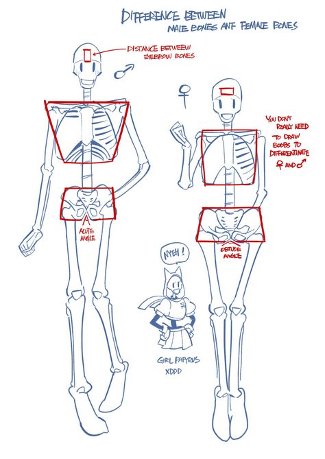 How to draw skeletons! Skeleton Poses, Skeleton Anatomy, Skeleton Drawings, Human Skeleton, Charcoal Drawings, Drawing Faces, Body Reference Drawing, Skeleton Art, Undertale Drawings