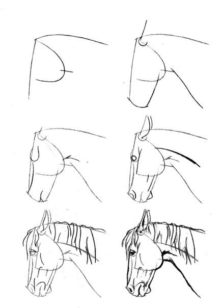 Horse Drawing Tutorial, Horse Art Drawing, Pencil Drawings For Beginners, Horse Sketch, Horse Art Print, Horse Tattoo, Horse Drawing, Horse Drawings, Animal Sketches