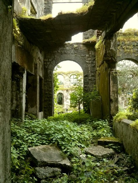 Nature Taking Over, Ruined Architecture, Ruins Aesthetic, Green Ruins Aesthetic, Underground Ruins, Overgrown Ruins Art, Ruins Photography, Building Ruins, Overgrown Ruins