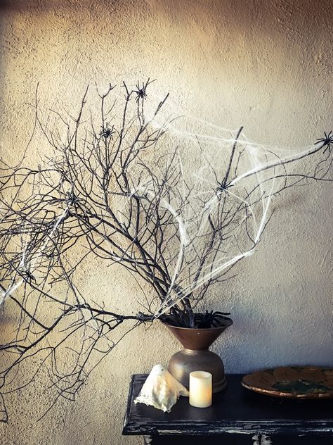 Dead branches, glow in the dark spider web material and spiders greet visitors in my covered entryway. Add some LED lights and a handmade ghost and you're all set for Halloween. Community Halloween Party, Covered Entryway, Halloween Chandelier, Chandelier Decorations, Witching Hour, Halloween Spider Web, Spiders, Spider Web, Halloween Ideas