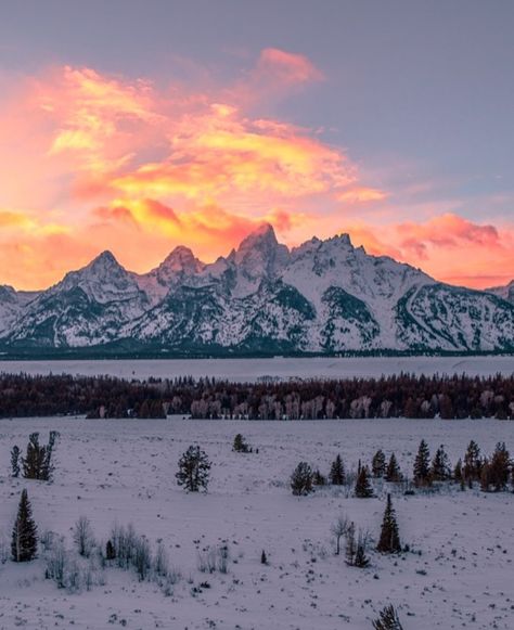 Wyoming Winter, Wyoming Aesthetic Winter, Mountains Wyoming, Big Sky Montana Winter, Snowed Mountains Aesthetic, Snowy Range Wyoming, Snow Mountain, The Mountains Are Calling, Winter Aesthetic