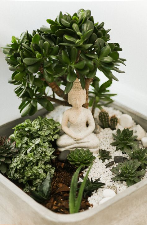 Mini Zen Garden Terrarium, Zen Miniature Garden, Zen Mini Garden, Succulent Zen Garden, Zen Garden Design Miniature, Cactus Terrarium Ideas, Buddha Bedroom Ideas, Diy Zen Garden Mini, Mini Garden Design