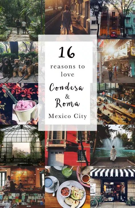 16 reasons to love La Condesa / Roma, Mexico City Roma Mexico City, Mexico City Travel Guide, Mexico City Travel, Mexico Travel Guides, Central America Travel, Visit Mexico, México City, Mexico Vacation, City Trip