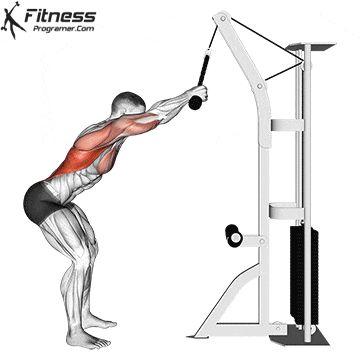 The rope straight-arm pulldown trains the lats through a long range of motion, and is helpful for people who have trouble feeling their backs work on conventional pulldown exercises. Cable movements provide constant tension throughout the entire movement. Using cables allows you to work both the concentric and eccentric portions of the exercise. More tension equals more muscle activation. Lat Pulldown Exercises For Women, Straight Arm Pulldown Back Exercises, Cable Rope Back Workout, Straight Arm Pull Down, Stiff Arm Pull Down, Straight Arm Cable Pulldown, Pull Cable Workout, Cable Pullover Exercise, Straight Arm Lat Pull Down