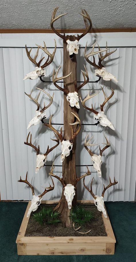 Decor With Deer Mounts, Unique Deer Mounts, European Mount Display, Deer Antler Christmas Tree, Antler Display Ideas, Deer Antler Tree, European Deer Mount, Antler Christmas Tree, European Mount