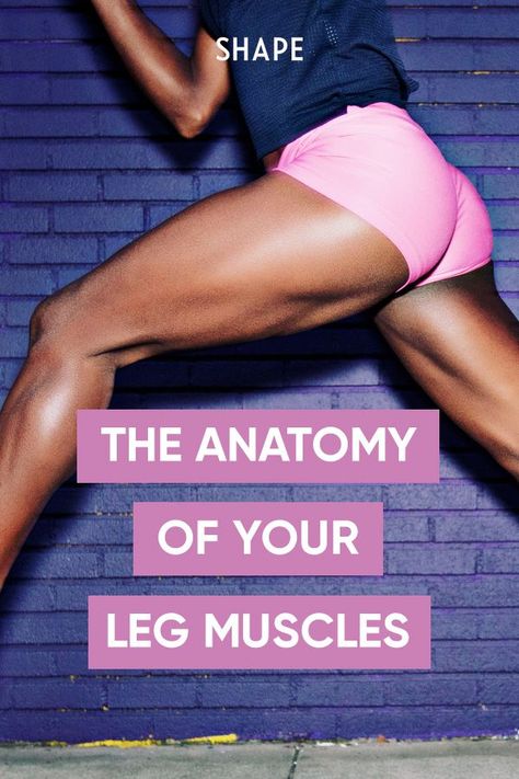 Leg Muscles Women, Strong Legs Women, Leg Muscles Anatomy, Muscle Names, Muscle Legs, Muscle Structure, Drawing Anatomy, Heavy Legs, Yoga Time