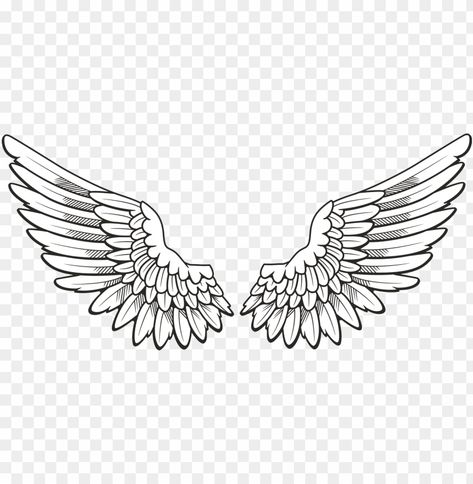 Wings For Tattoo, White Wings Drawing, Men’s Wings Tattoo, Two Wings Tattoo, Wing Ideas Drawing, Png Tattoo Design, White Wings Tattoo, Wing Tattoo Drawing, One Wing Tattoo