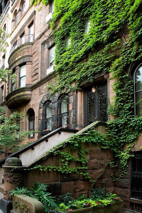 Gorgeous ivy covered brownstone on the Upper East Side -  93rd Street, NYC. Anything covered in IVY is pretty New York Brownstone, Restaurants In Paris, Voyage New York, Paris Jackson, The Windy City, City That Never Sleeps, Little Italy, West Village, Concrete Jungle