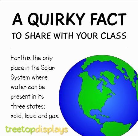 Earth Facts For Kids, Earth Facts, Kids Facts, Facts About Earth, Fun Facts For Kids, Trees Beautiful, About Earth, Summer Tree, Fun Fact Friday