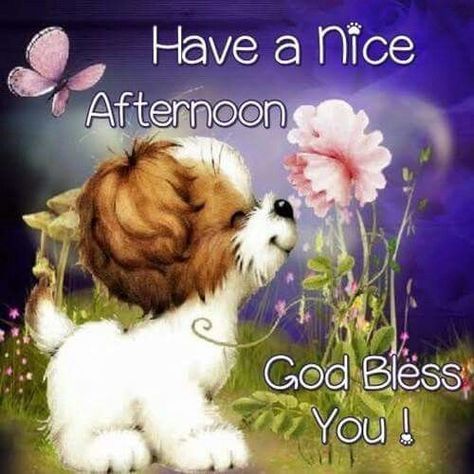 Have A Nice Afternoon, God Bless You! afternoon good afternoon good afternoon quotes good afternoon images afternoon greetings Have A Nice Afternoon, Happy Wednesday Pictures, Afternoon Messages, Happy Wednesday Images, Thursday Pictures, Thursday Images, Thursday Greetings, Wednesday Blessings, Morning Wednesday