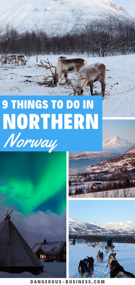 All the best things to do in northern Norway in winter, including seeing the Northern Lights and reindeer spotting. #norway #europe #wintertravel Norway In February, Visiting Norway, Norway In Winter, Norway Trip, Norway In A Nutshell, Tropical Places, Norway Winter, European Winter, Tromso Norway