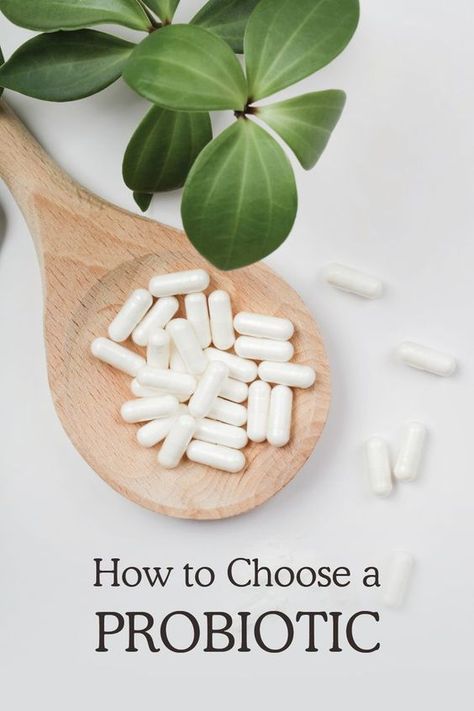 Tips and advice for choosing the best probiotic for your needs! Whole Foods Products, Best Probiotics, Poisoned Apple, Gut Healing Recipes, Best Probiotic, Stomach Issues, Feminine Health, Gut Microbiome, Holistic Nutrition