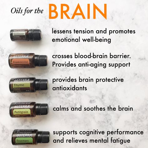 Get these Essential Oils for Brain Health Home Remedies For Hair Growth, Remedies For Hair Growth, Crunchy Life, Doterra Oils Recipes, Doterra Blends, Esential Oils, At Home Decor, Doterra Oil, Essential Oil Combinations