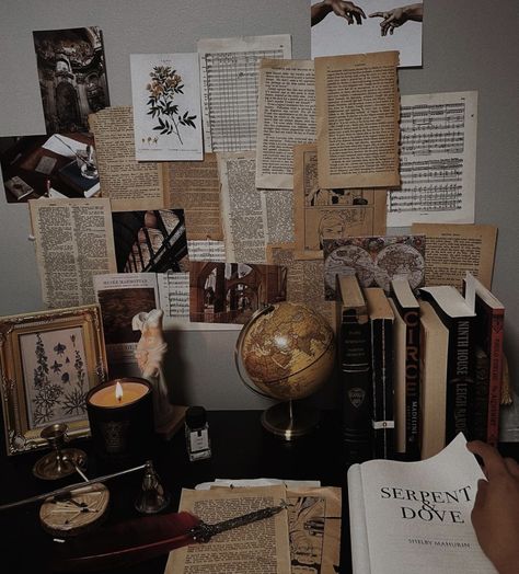 Dark Academia Room, Academia Room, Dark Light Academia, Dark Acadamia, Academia Aesthetics, Light Academia Aesthetic, Chaotic Academia, Dark Academy, Dark Light