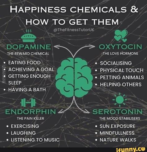 Tap to see the meme Happiness Chemicals, Mood Stabilizer, Brain Facts, Happy Hormones, Physical Touch, Sleep Help, Surprising Facts, Painkiller, Mental And Emotional Health